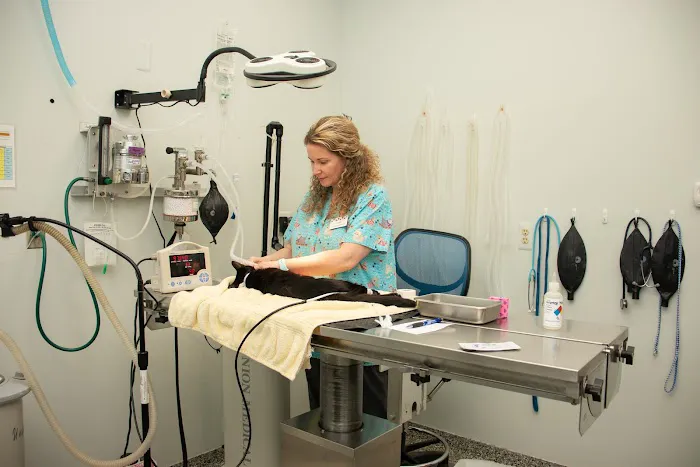 Morrison Animal Hospital 6