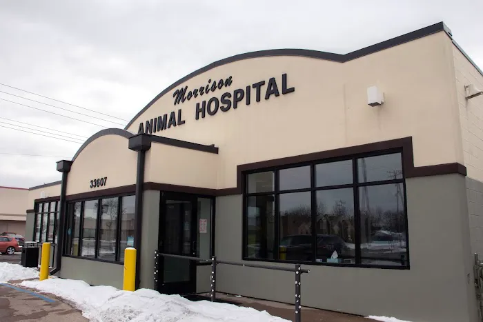 Morrison Animal Hospital 7