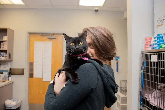 Morrison Animal Hospital 8