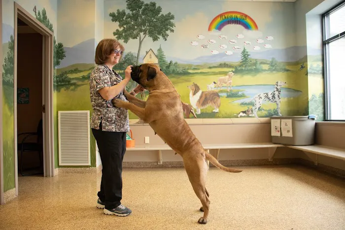 Morrison Animal Hospital 9