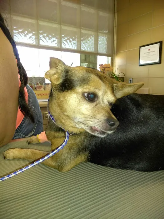 Rossoni Animal Hospital 1