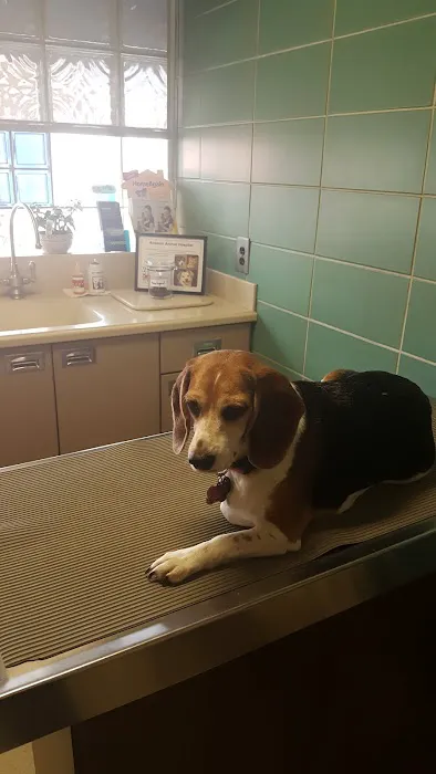 Rossoni Animal Hospital 6