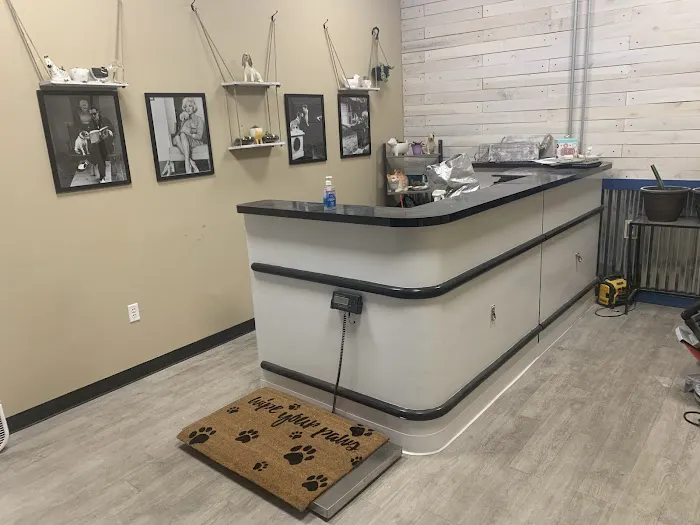 Michigan Veterinary Total Health Care 3