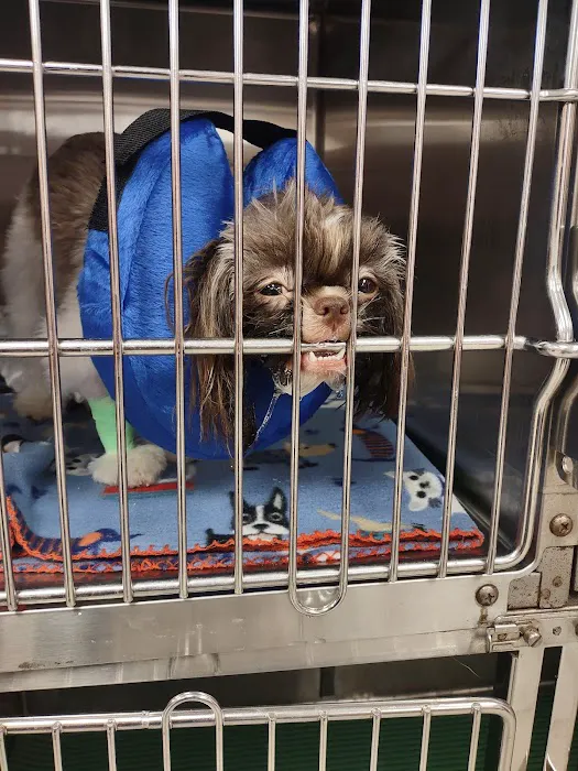 A W Animal Hospital 8