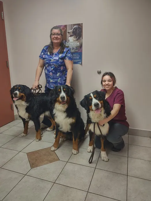 A W Animal Hospital 6