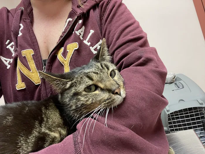 A W Animal Hospital 5