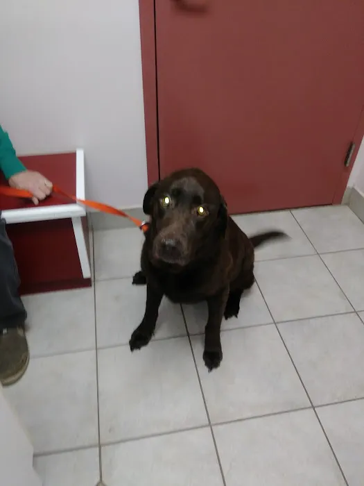 A W Animal Hospital 10