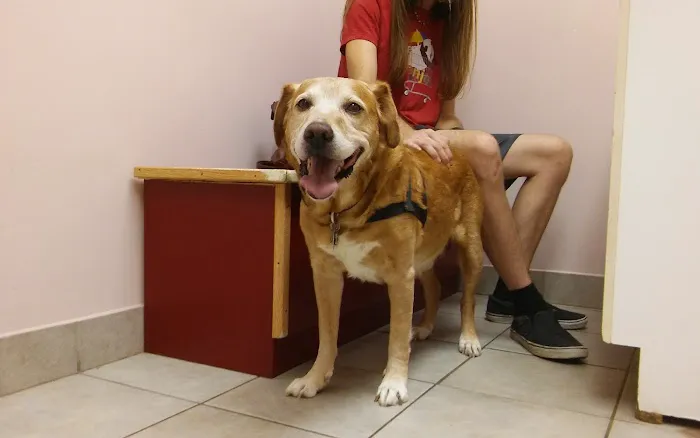 A W Animal Hospital 1