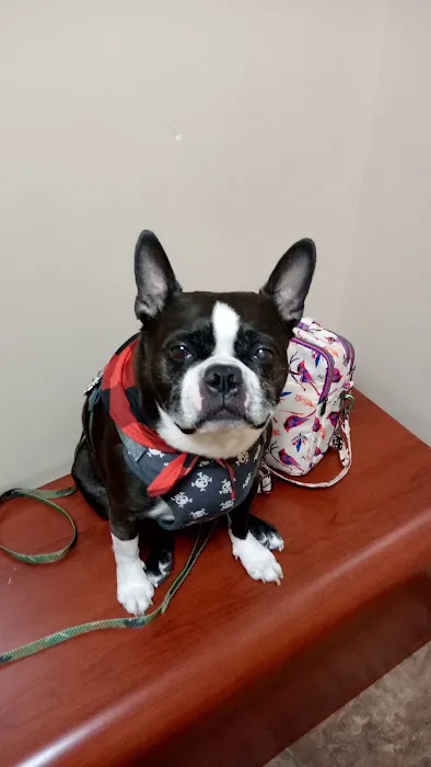 Healing Care Animal Hospital 3