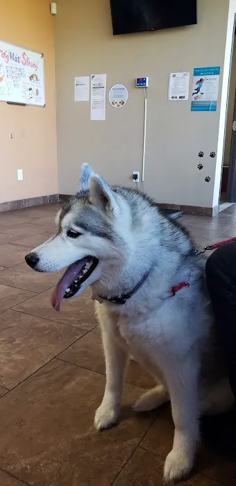 Healing Care Animal Hospital 9