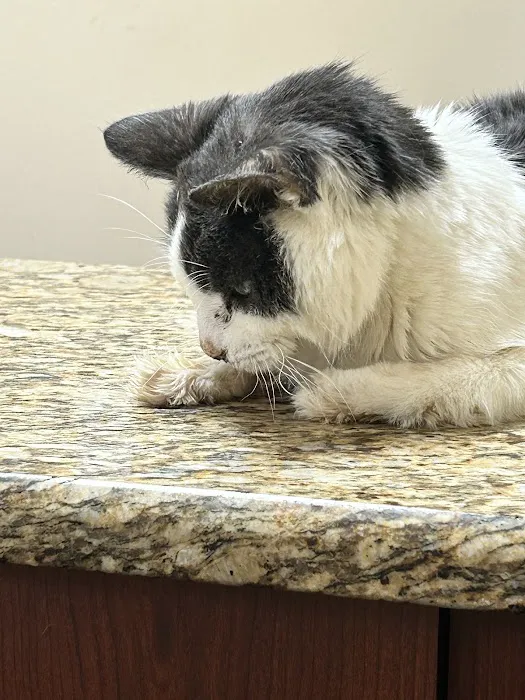Healing Care Animal Hospital 1