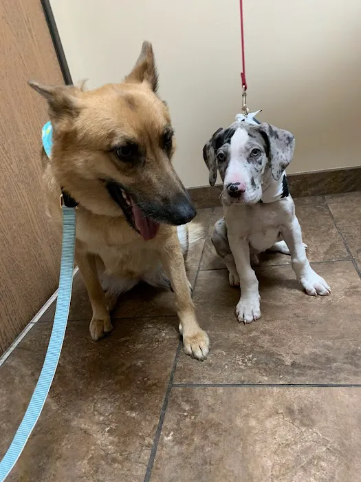 Healing Care Animal Hospital 6