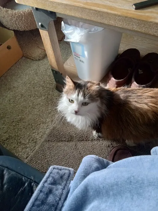 Healing Care Animal Hospital 2