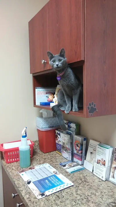 Healing Care Animal Hospital 5