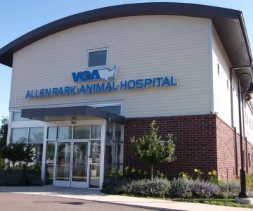 VCA Allen Park Animal Hospital