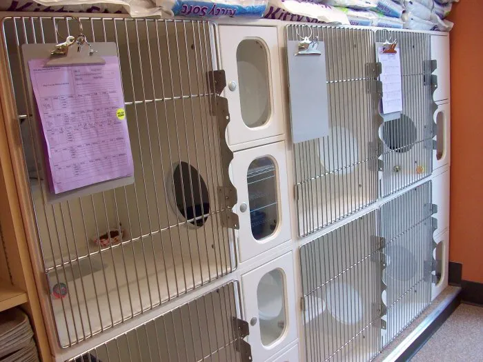 VCA Allen Park Animal Hospital 10
