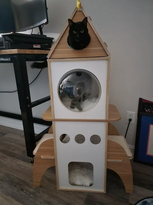 Collins Animal Hospital 3