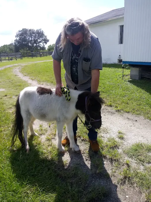 Equine Wellness and Performance of Central Florida 9