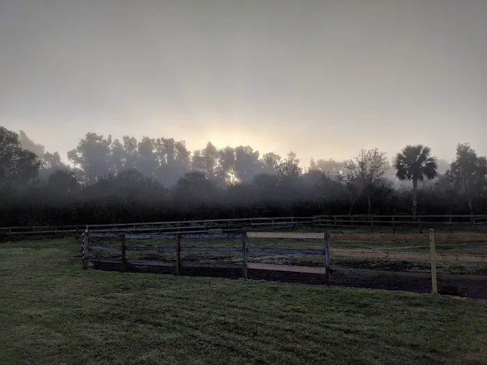 Equine Wellness and Performance of Central Florida 2