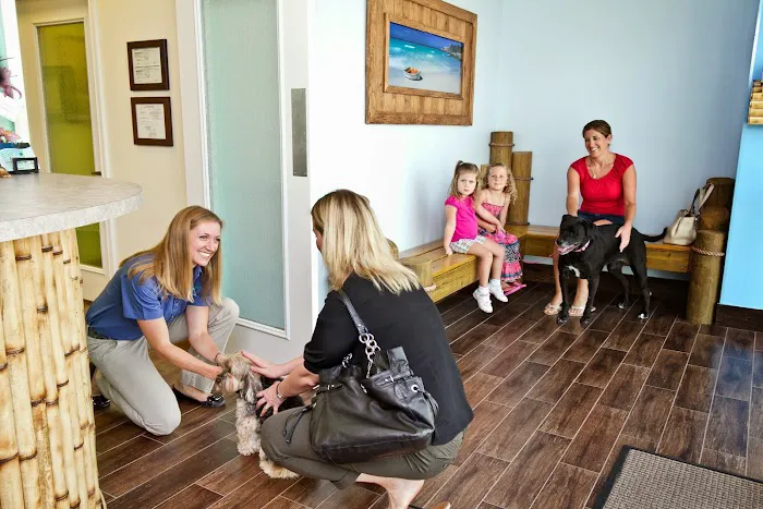 Island Animal Hospital in Merritt Island 10