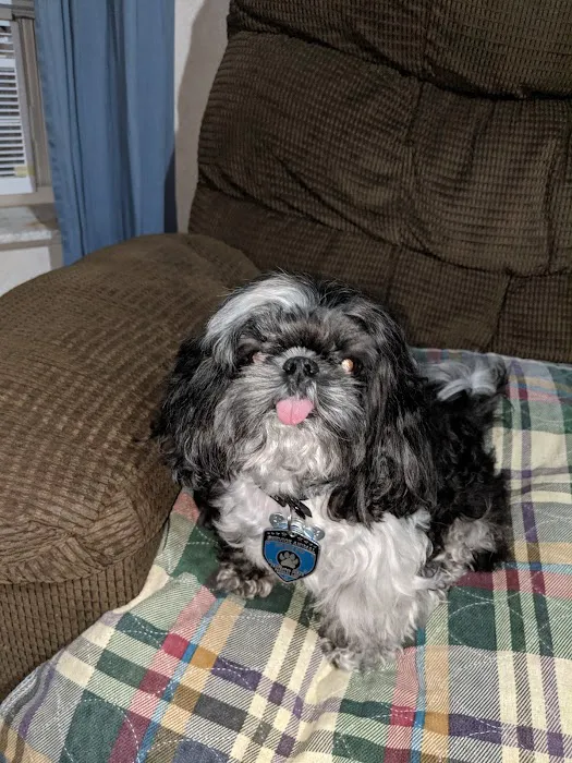 Brevard Veterinary Hospital 7