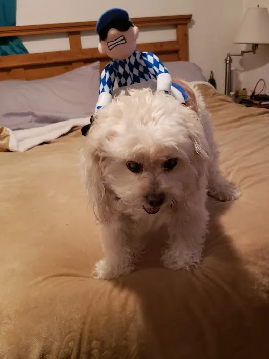 Brevard Veterinary Hospital 2