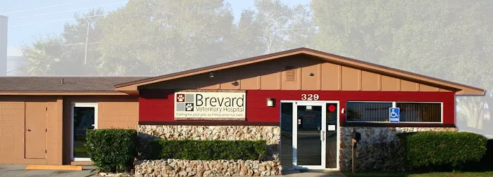 Brevard Veterinary Hospital 9