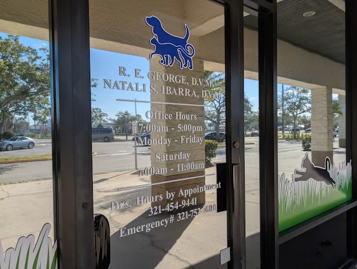 Animal Clinic of Merritt Island 6