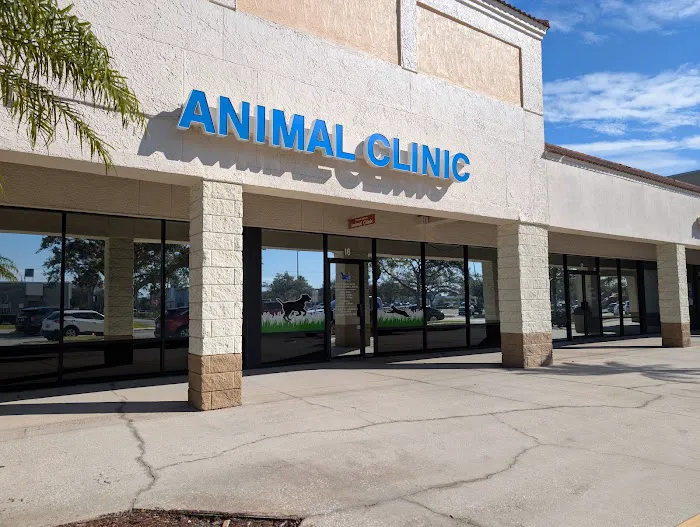 Animal Clinic of Merritt Island 4