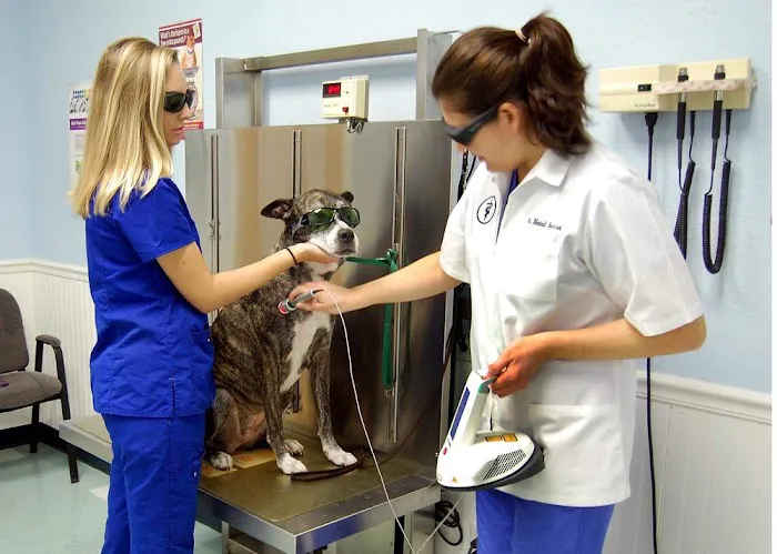 Animal Clinic of Merritt Island 2