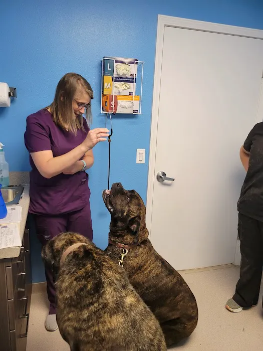 Chester Veterinary Clinic 3