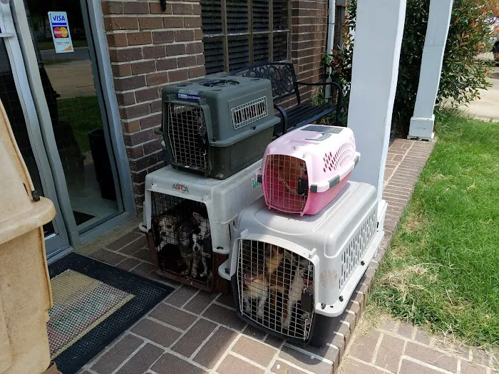 Chester Veterinary Clinic 8