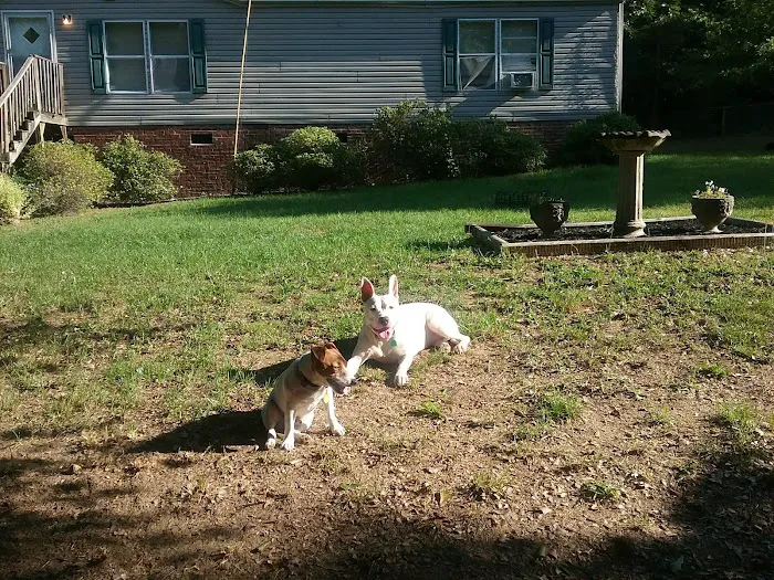 Chester Veterinary Clinic 9