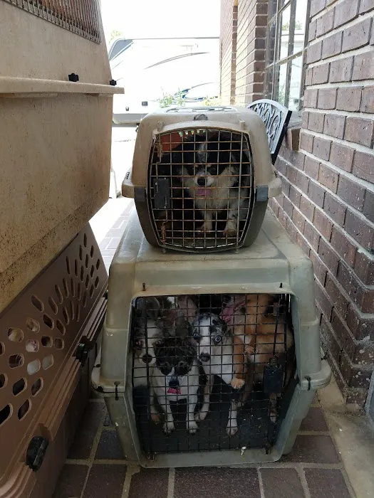 Chester Veterinary Clinic 5