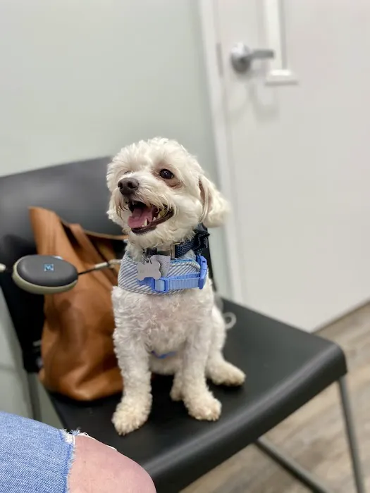 Hulin Veterinary Hospital 4