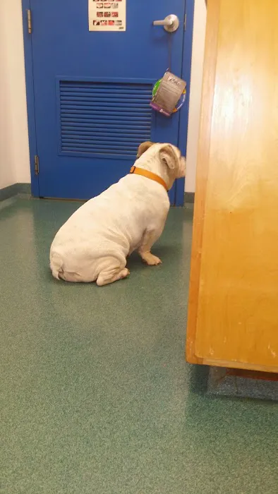 Asheboro Animal Hospital 8