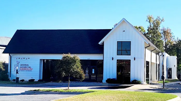 Animal Hospital Randolph 5