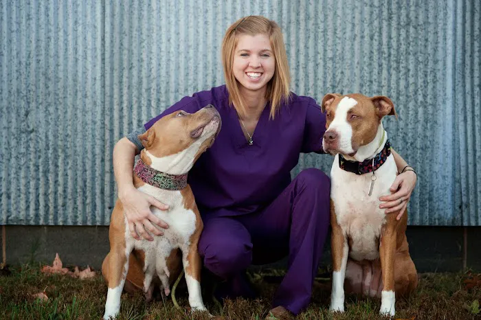 Animal Hospital Randolph 7