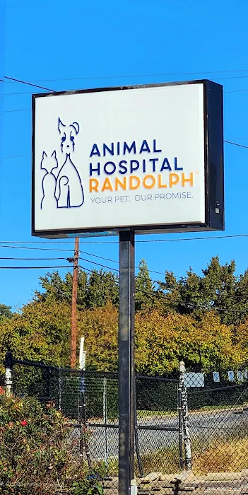 Animal Hospital Randolph 9