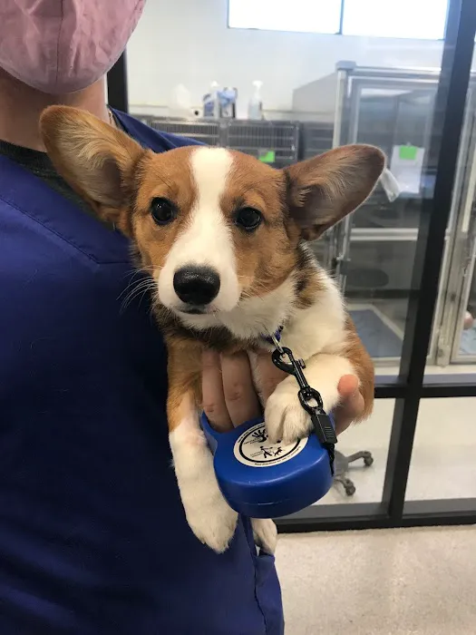 Animal Hospital Randolph 2