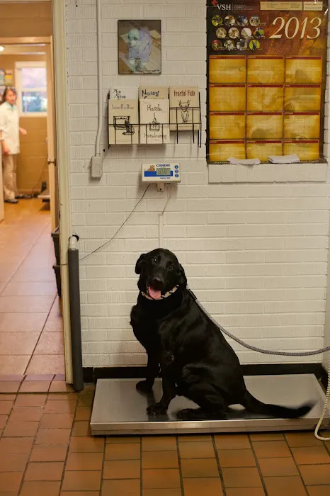 Animal Hospital Randolph 6