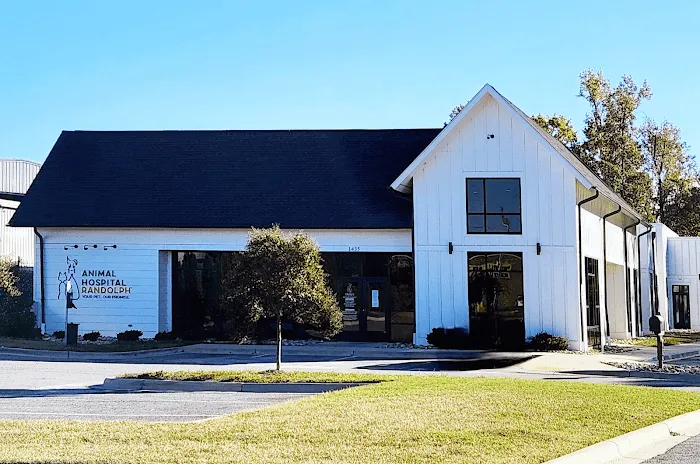 Animal Hospital Randolph 10