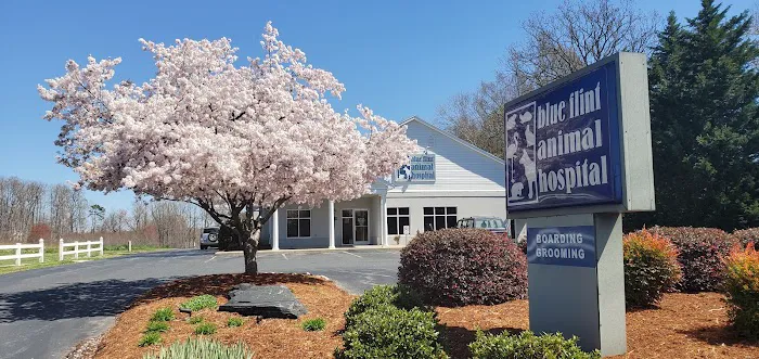 Blue Flint Animal Hospital 9