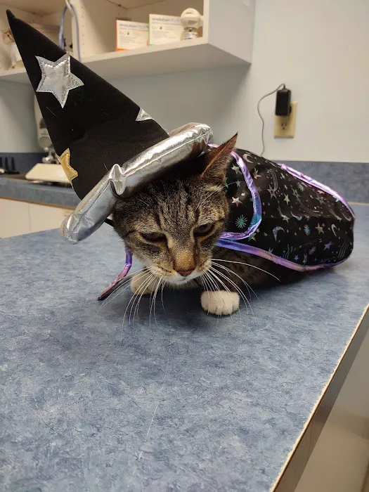 Blue Flint Animal Hospital 6
