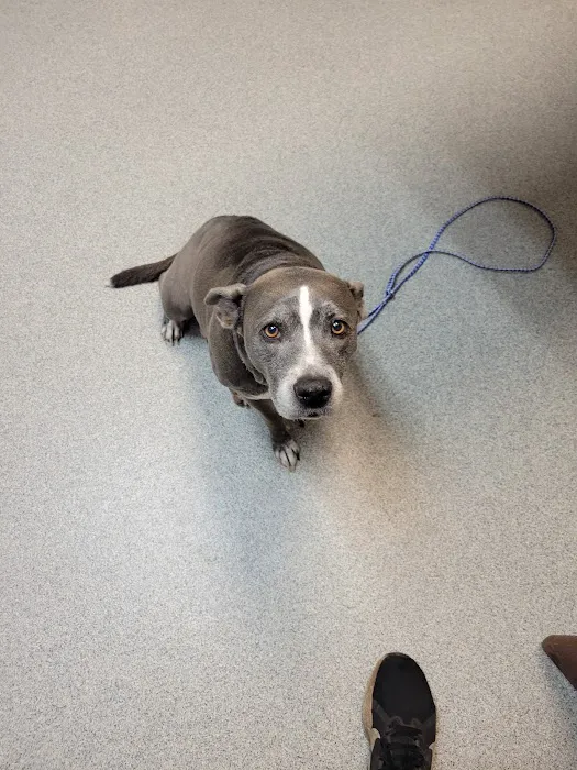 Thomasville Veterinary Hospital 1