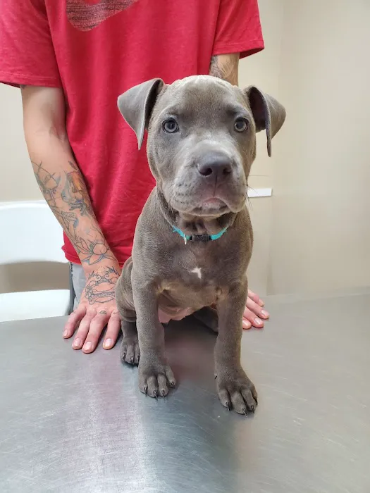 North Davidson Veterinary Hospital 8