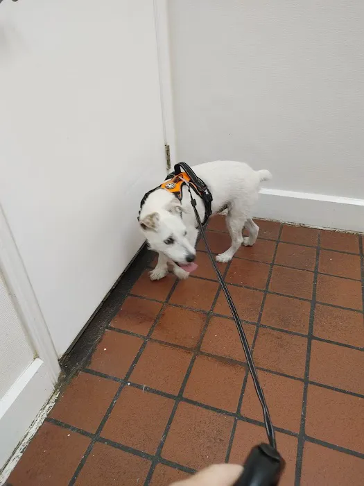 North Davidson Veterinary Hospital 2
