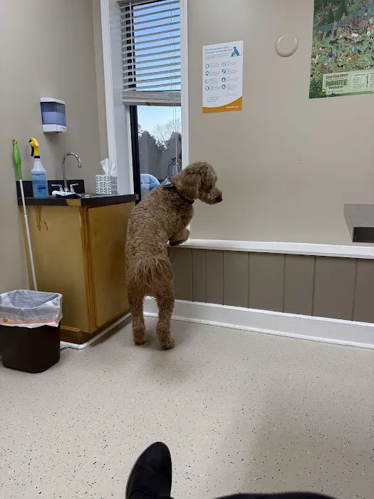 North Davidson Veterinary Hospital 9