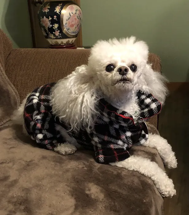 West Pine Animal Hospital and Pet Resort 3