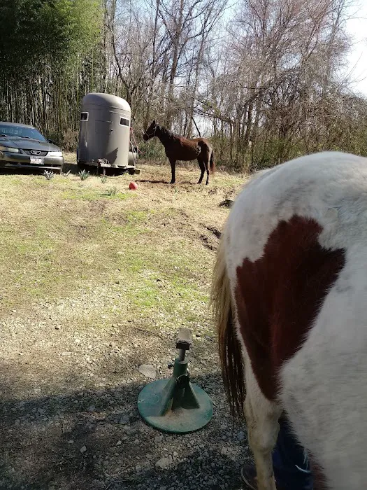 Scarlett Mobile Large Animal Services 9